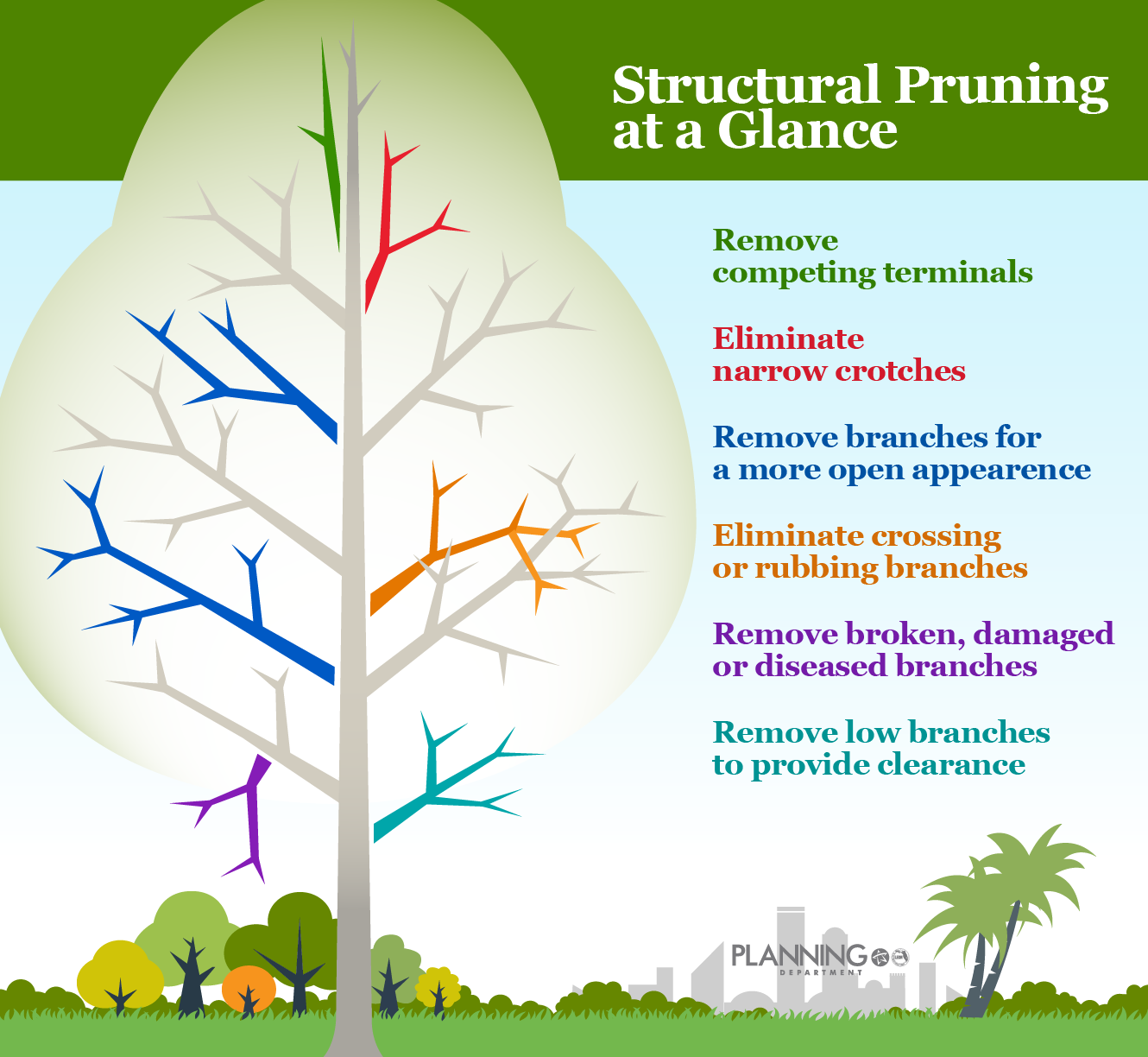 Use this graphic as an at-a-glance guide to help  you as you begin structural pruning. 