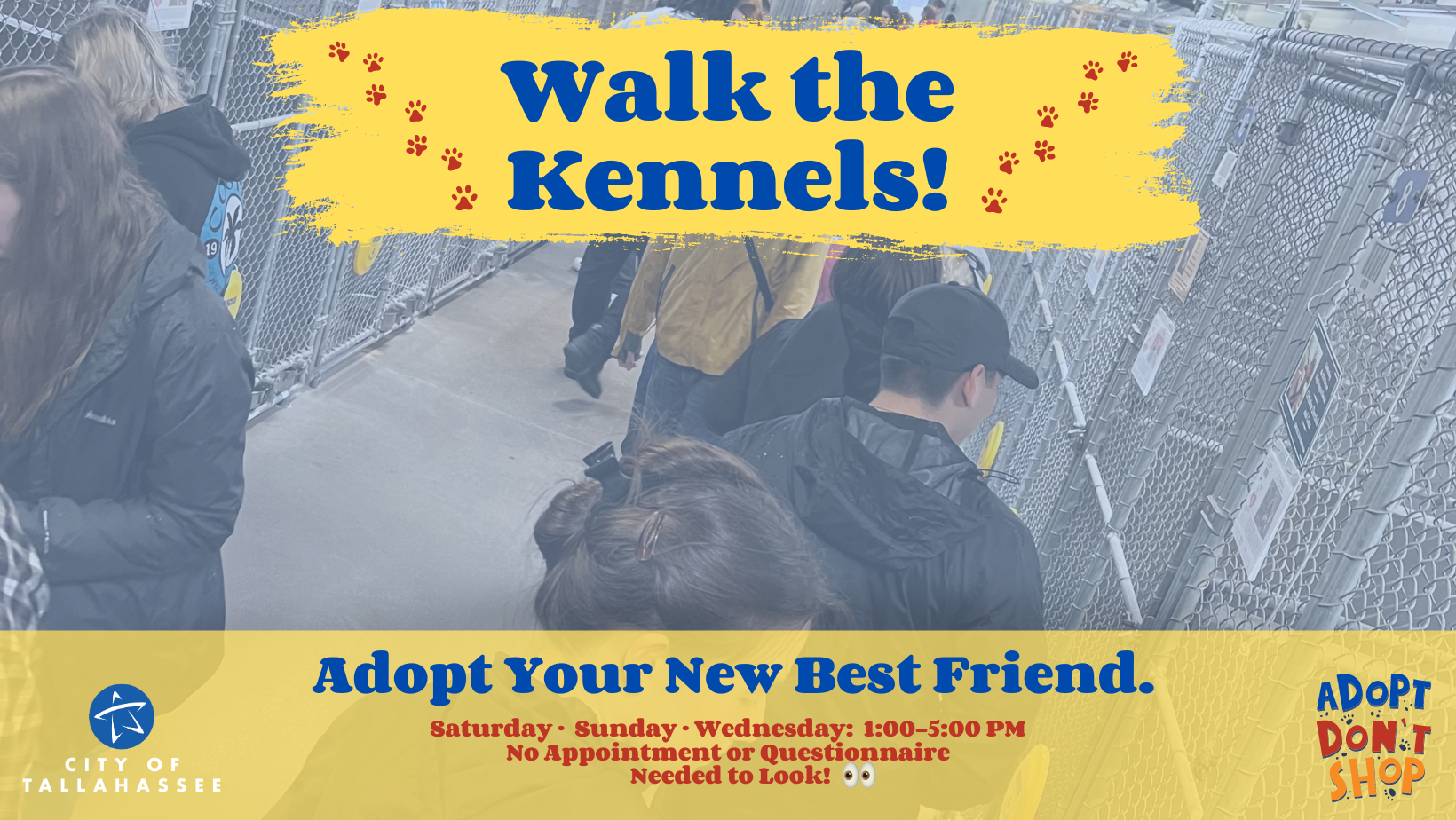 Walk the Kennels on Sundays through Wednesdays from 1:00 - 5:00pm