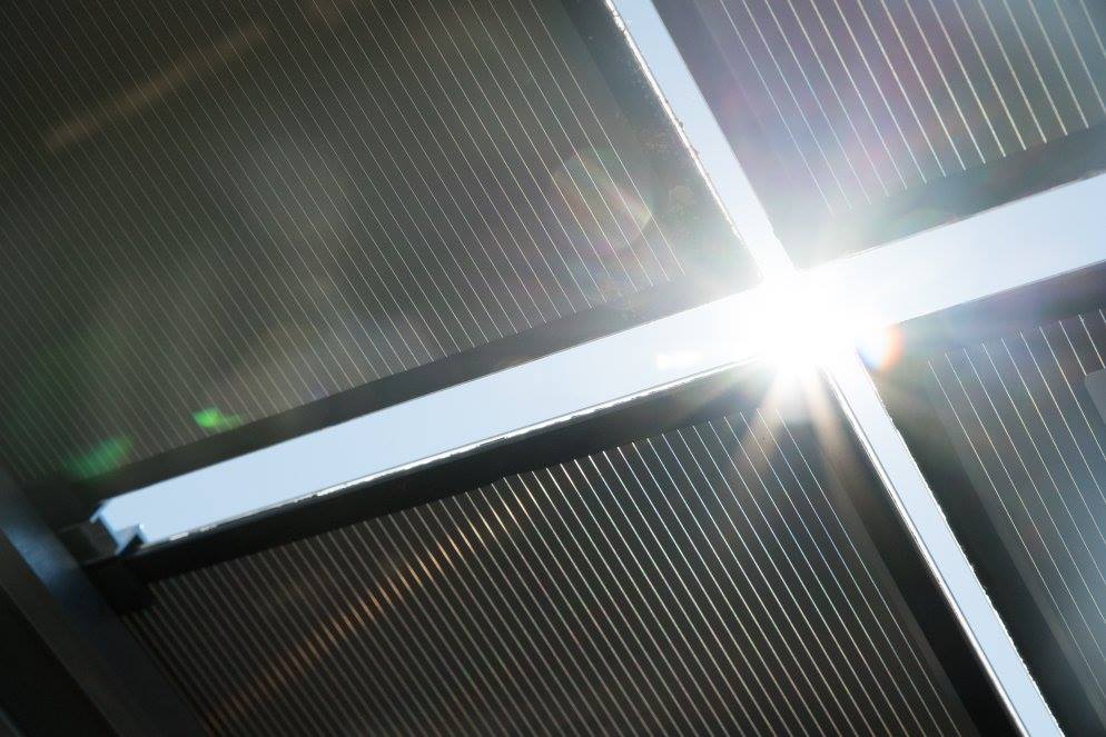 Tallahassee Solar Panels
